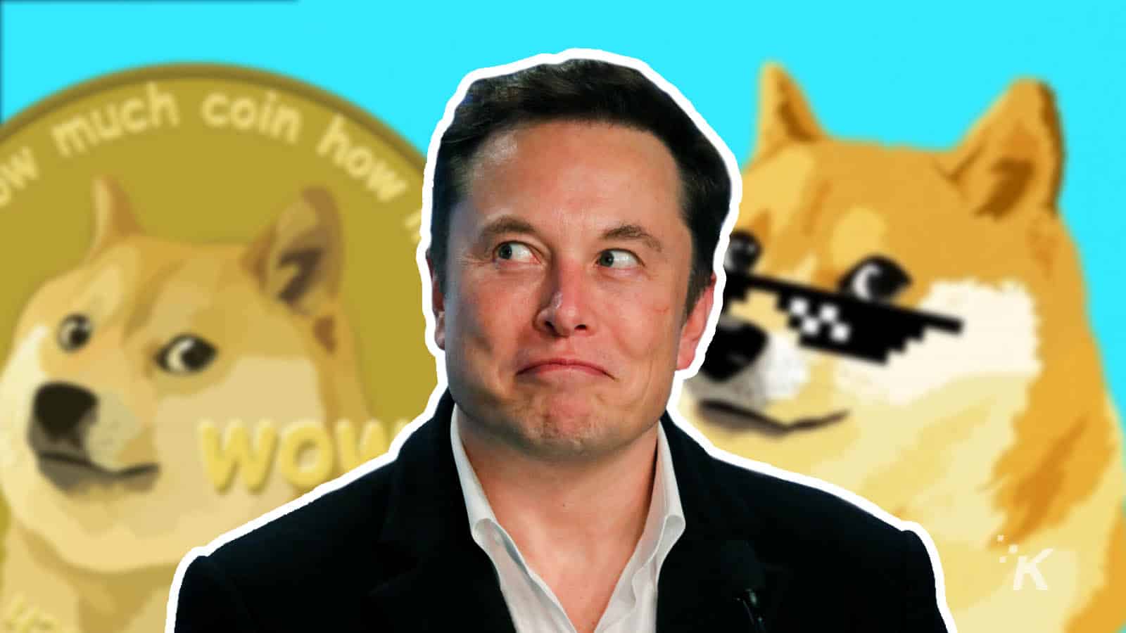 ¿Abandonó Elon Musk a Dogecoin?