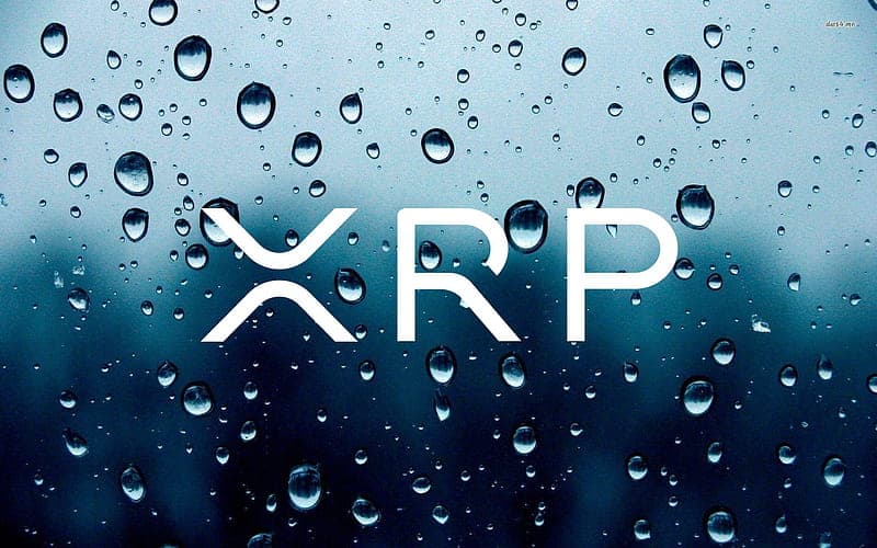 XRP gana impulso: ¿llega la ola de millionarios con el flujo de capital?