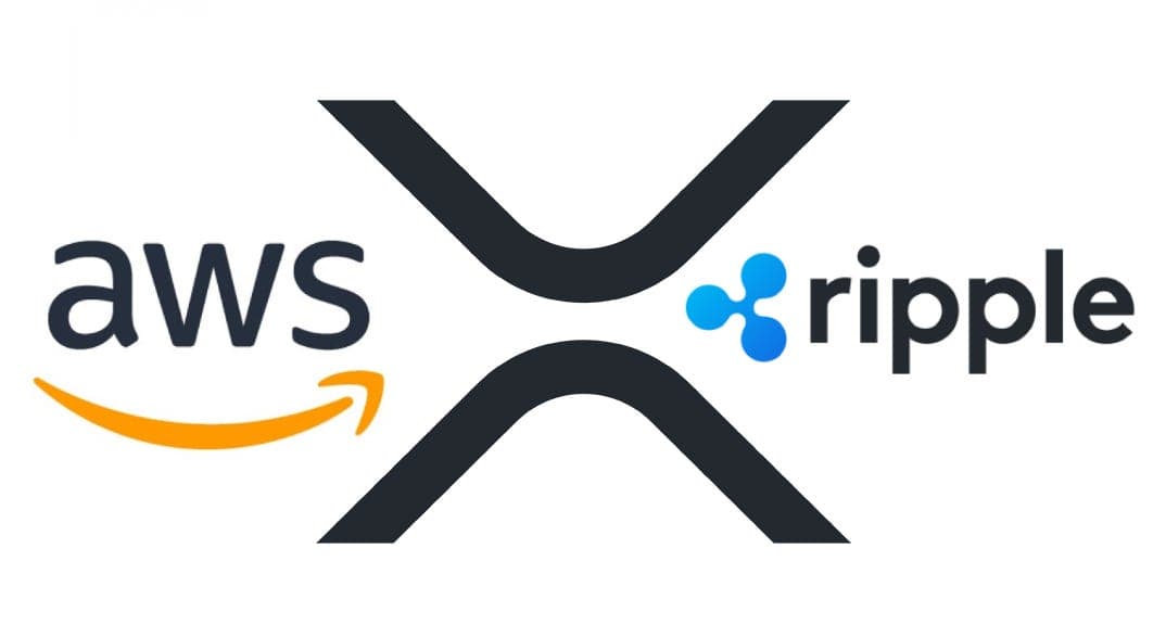 Amazon y XRP: ¿Qué pasaría si el gigante adopta la cripto?