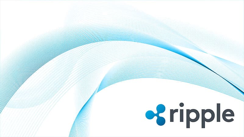 Garlinghouse: XRP Siempre Prioridad para Ripple ante Community Day