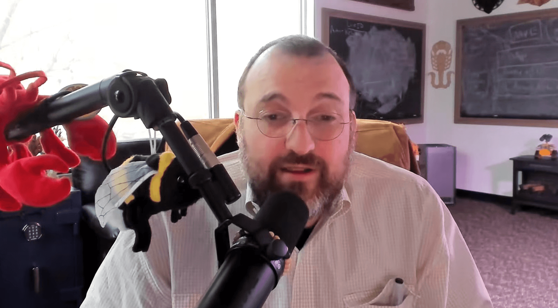 Cardano lanza Midnight: arranca el despliegue de su red principal