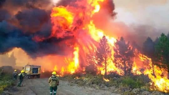 Incendios en la Patagonia: Gobierno de Milei declara emergencia ambiental