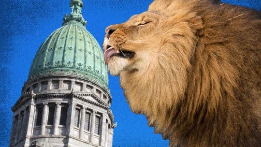 Milei abre sesiones ordinarias: expectativas en el Congreso