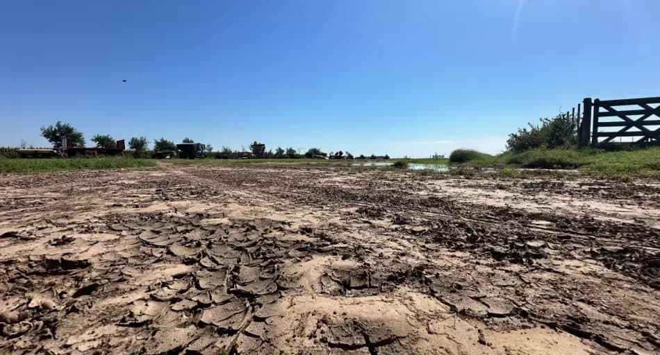 Sequía en Argentina: cómo el bloqueo atmosférico pone en riesgo las reservas de Milei