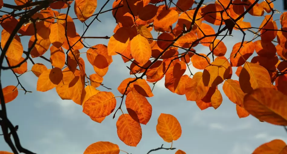 Crisis económica: ¿Por qué el otoño es clave para Argentina?