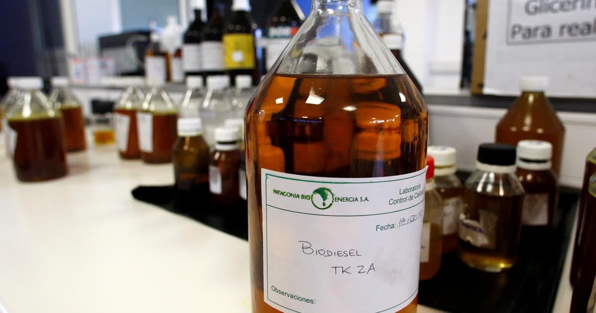 UE podría bloquear biodiesel de soja: impacto en Argentina y el mercado global