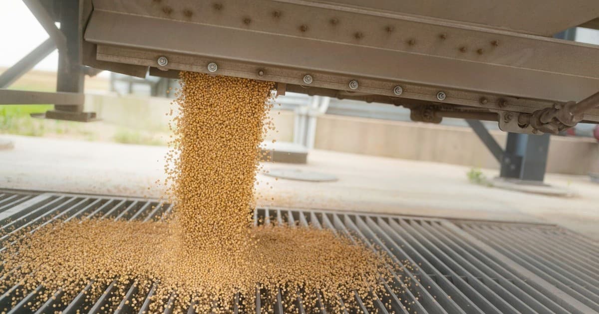 Crisis global amenaza mercado de soja: precios en máximos históricos