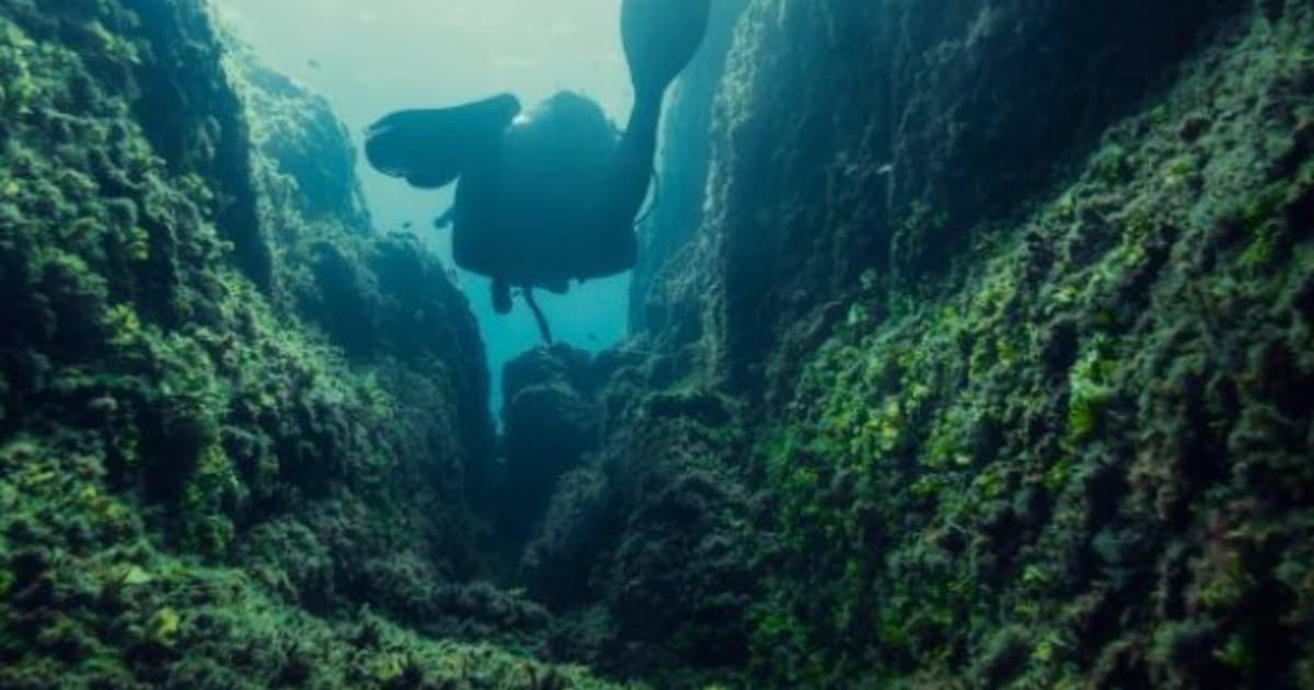 Estudio revolucionario: cañones submarinos no crean ríos